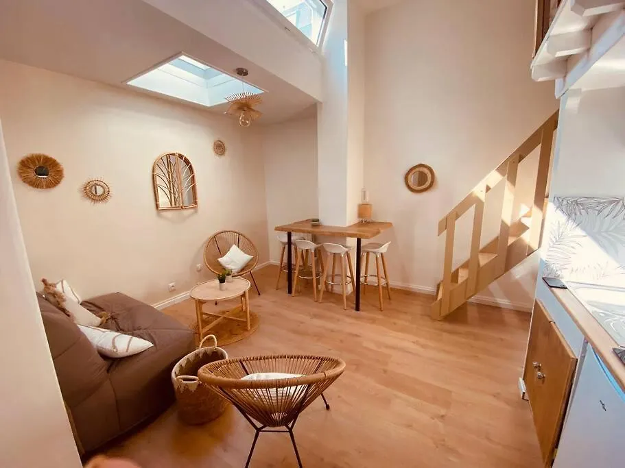 Cosy Coeur De Lille Apartment